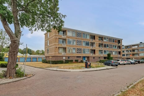 Adriaen Lauwereyszstraat 115