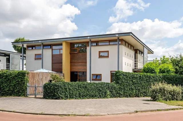 Boterbloem 11