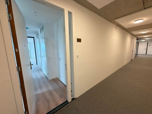Rooseveltstraat 277