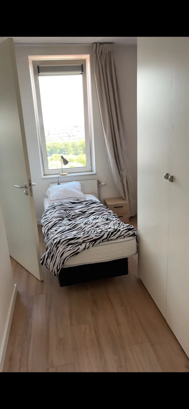 Fregelaan