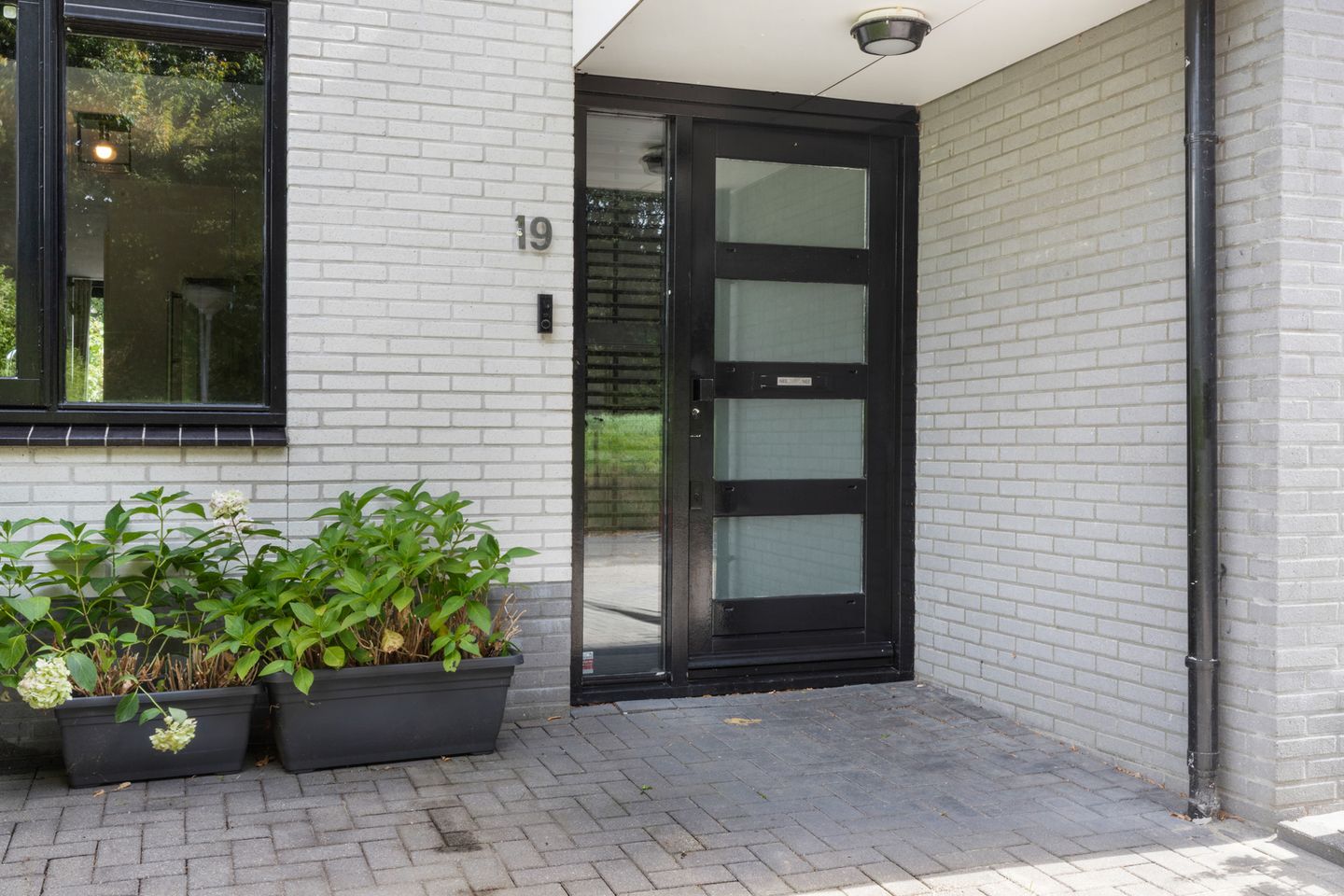 Hagedisstraat 19