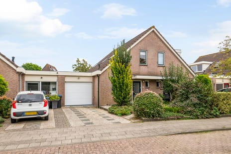 Paulus Potterstraat 46