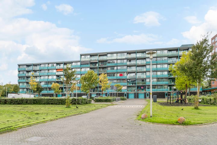 Iepenschans 18