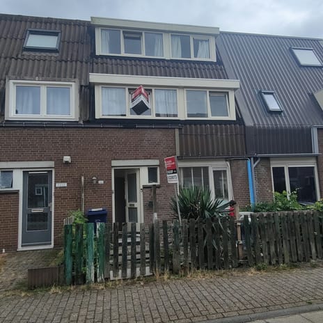 Bosgouw 240