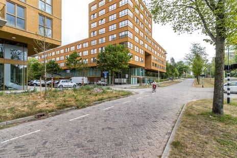 Duke Ellingtonstraat 80
