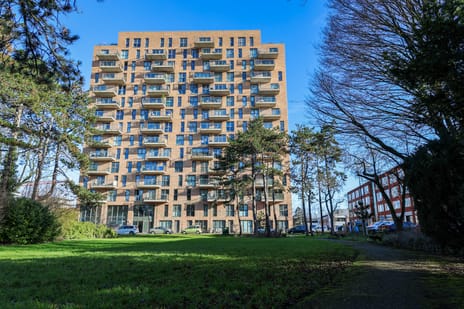 Treubstraat 12-F062