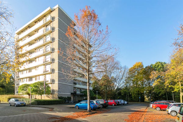 Houthalenlaan
