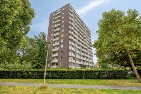 Roggekamp 561
