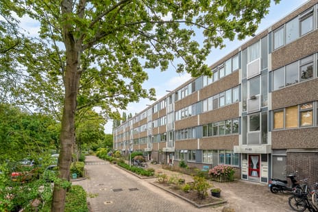 Fokkezeil 69