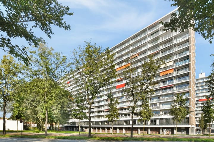Burgemeester Hogguerstraat 857