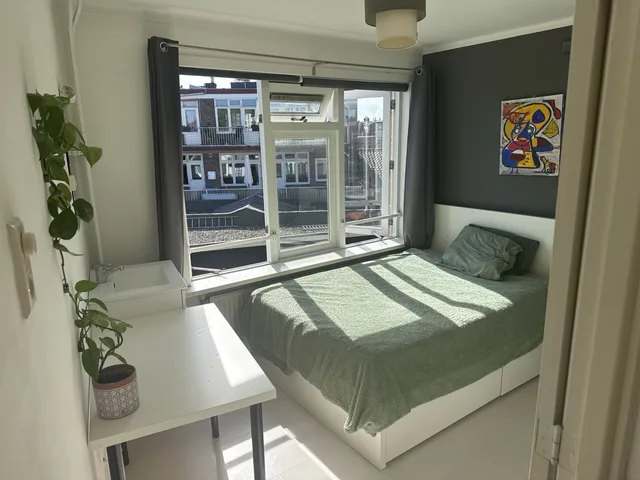 Van der Mondestraat