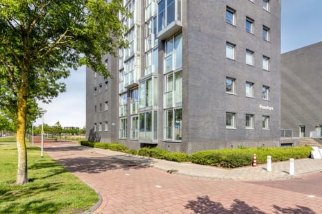 De Boulevard 203