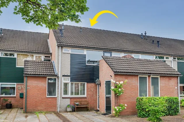 Lieshoutstraat 87