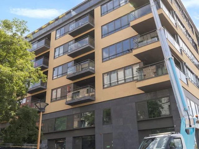 Grauwaartsingel 496