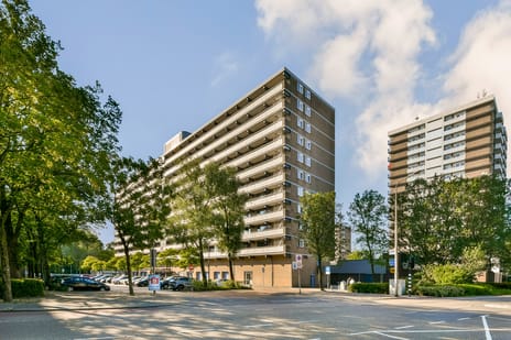 Groenhof 72