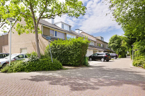 Maanvlinder 10