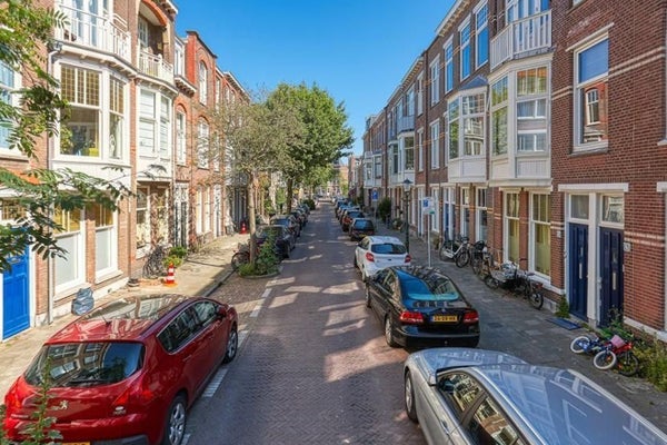 Van Slingelandtstraat