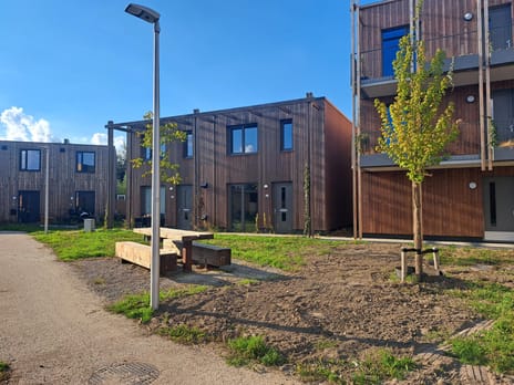 Langlaar 12