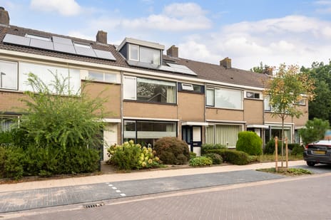 Couwenhoven 5006