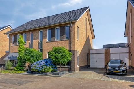 Aalscheer 7