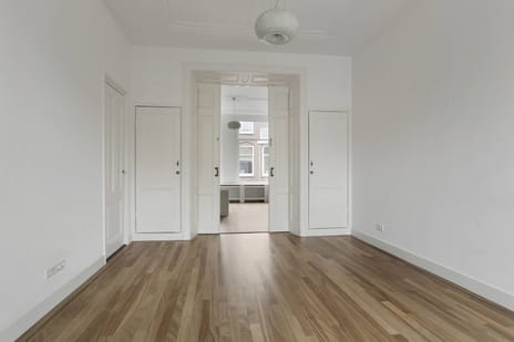 Van Loostraat 108