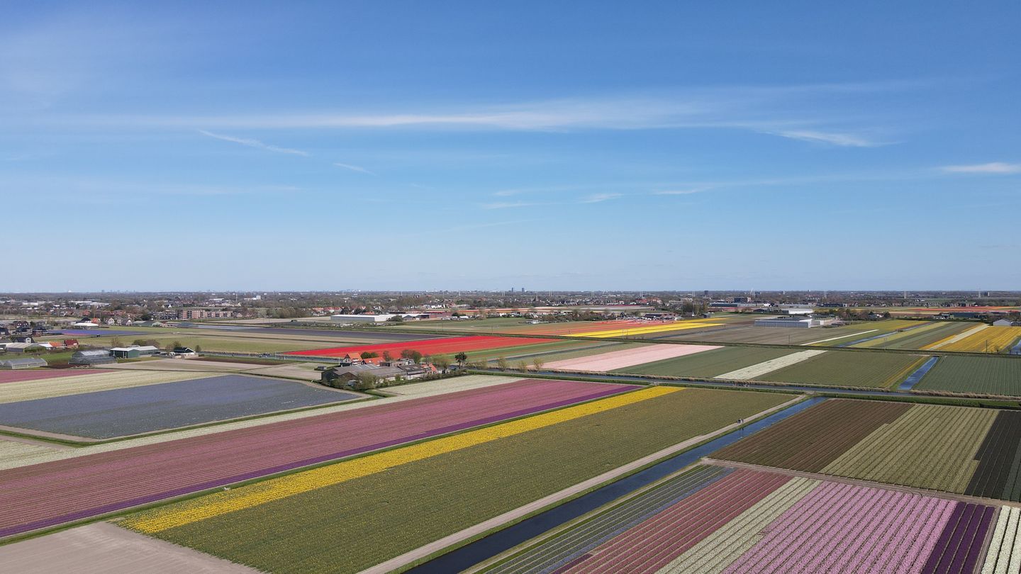 Zuider Leidsevaart 22