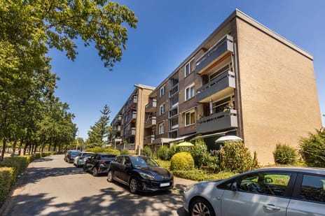 Palmstraat 8
