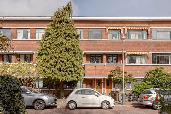 Van Neckstraat 36