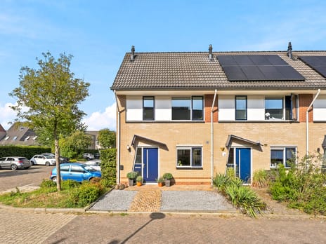 Theodora Bouwmeesterstraat 19