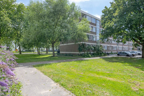 Plotinusstraat 114