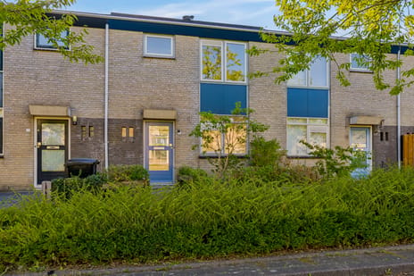 Cellostraat 13