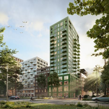 De Dorser 295