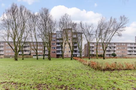 Adigestraat 184