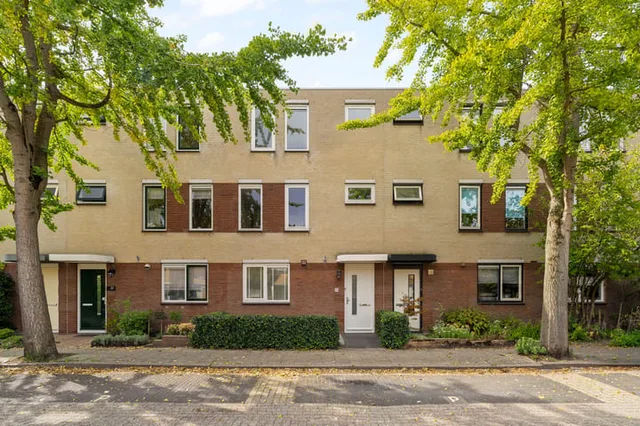 Korenbloem 24