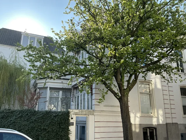 Balistraat
