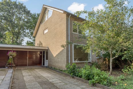 Wandscheerstraat 33