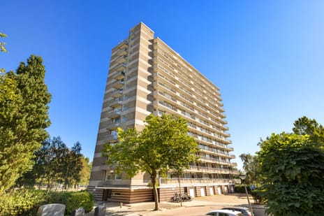Coornhertstraat 63