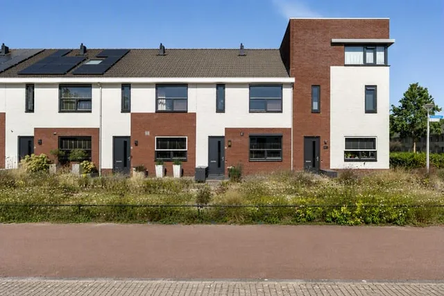 Heidevlinder 48