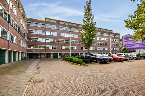Lokhorst 163