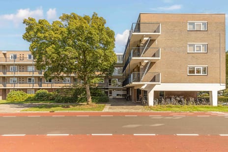 Oostelijk Halfrond 107