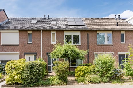 Middelberg 33