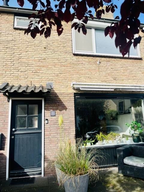 Van Boetzelaerlaan