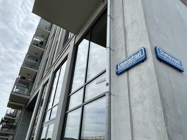 Artemisstraat