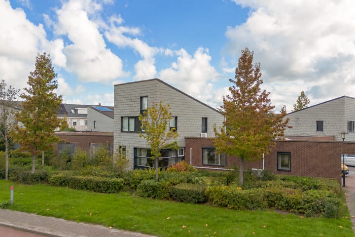 Steenarend 5