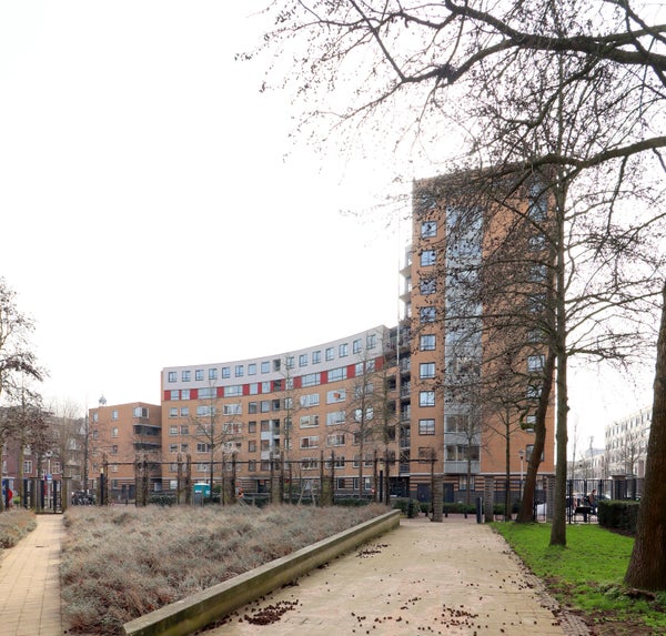 Henriëtte Roland Holststraat 142