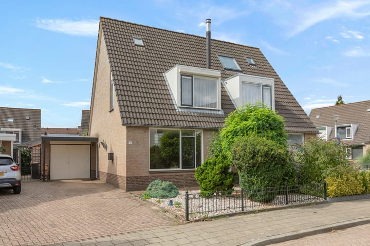 Goudreinette 16