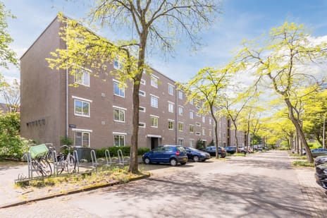 Honingen 6