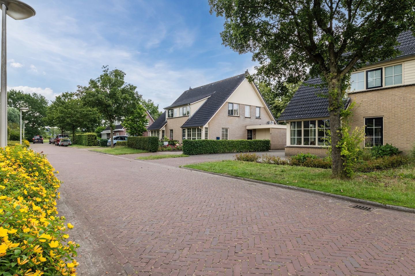 Oldenhof 14