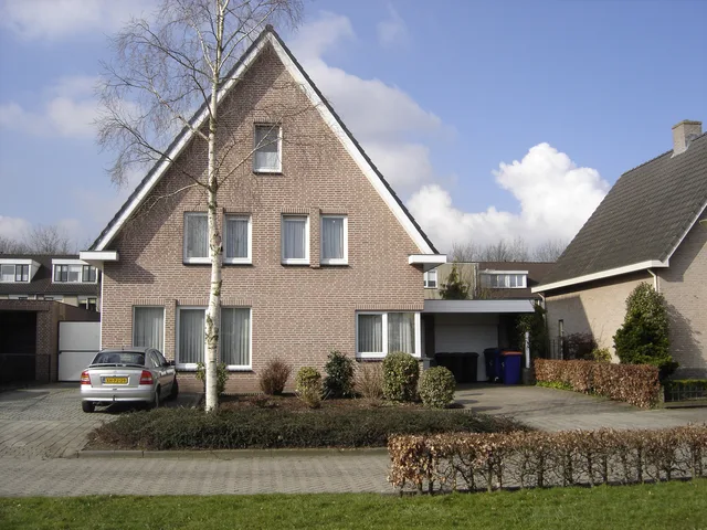 Speelveld