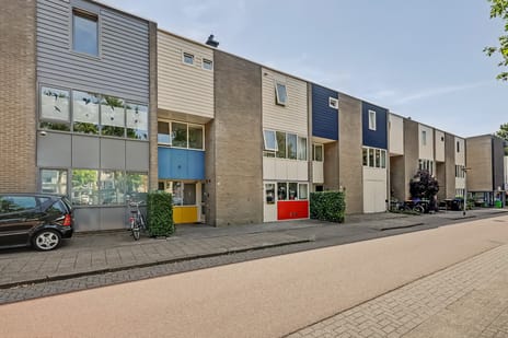 Havikskruid 23
